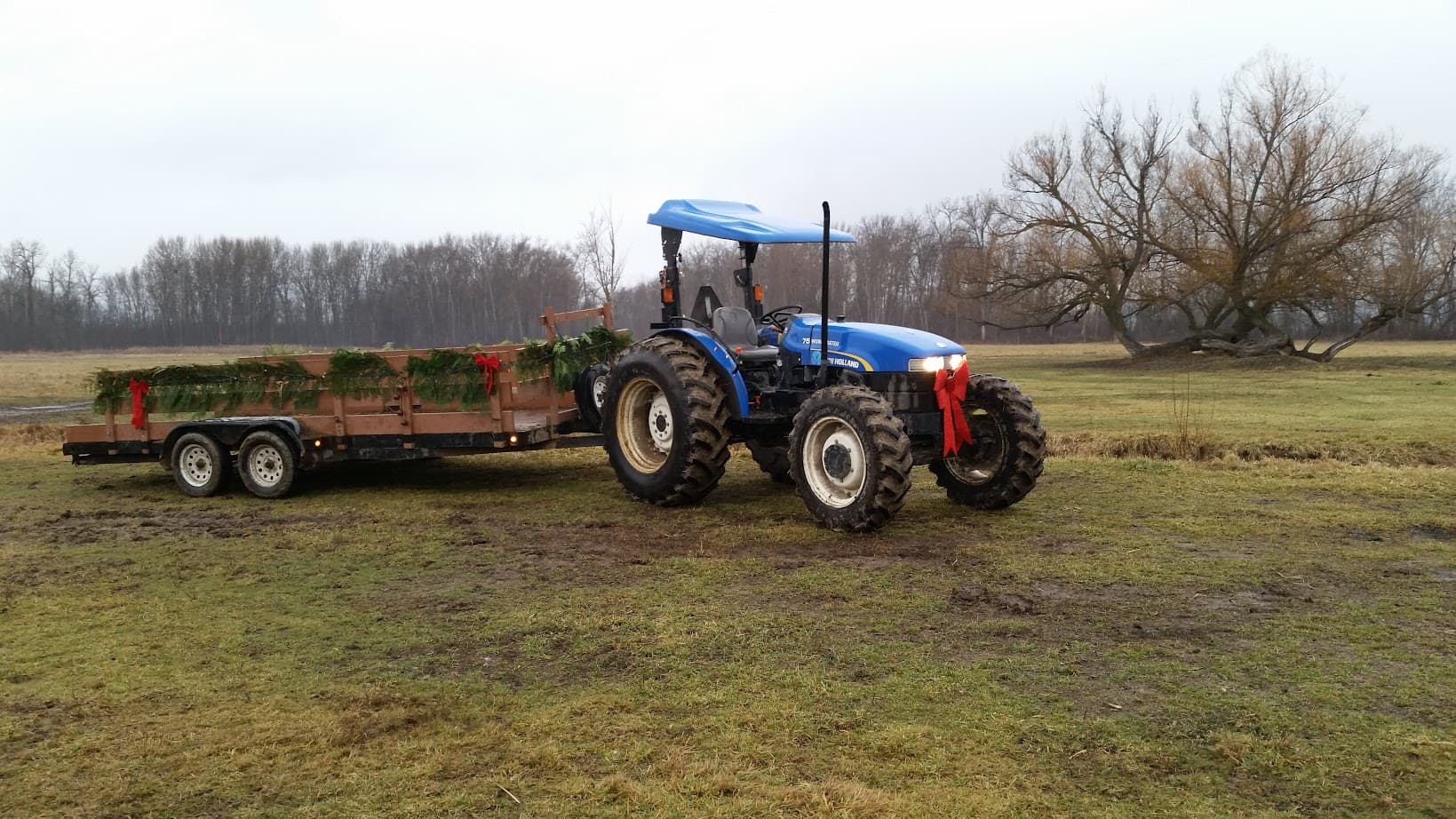 Tractor pulling a trailer decorated for christmas